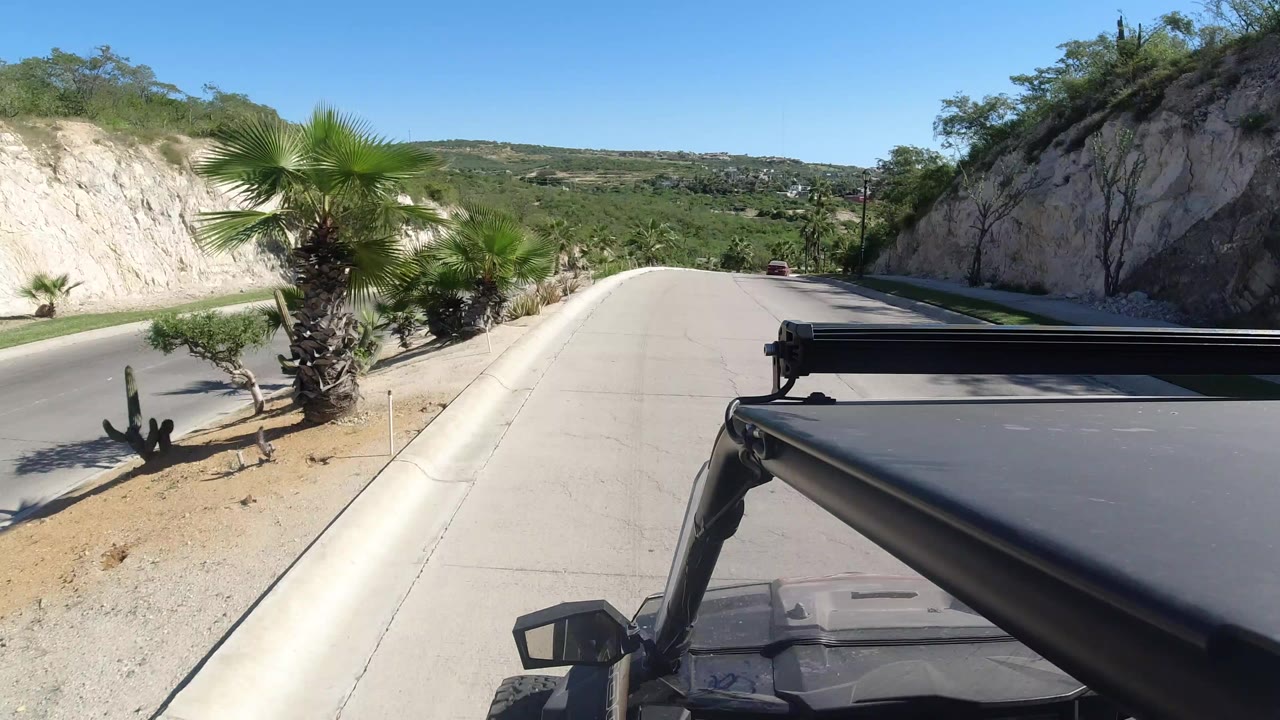 Los Cabos road view over a dark vehicle roof, with a palm and cactus on the left, pale hillside on the right, green hills beyond, and no visible people.