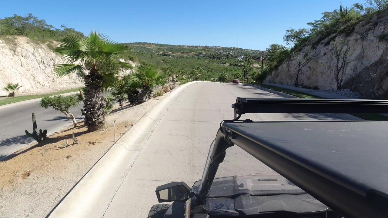 Los Cabos road slopes ahead under a clear blue sky, with the vehicle roof in the foreground, a palm near the curb, a cut hillside to the right, and no visible people.