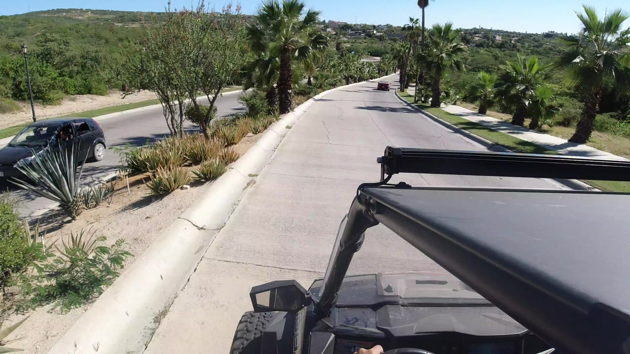 Open vehicle moving along a palm-lined road with a dark SUV at left.