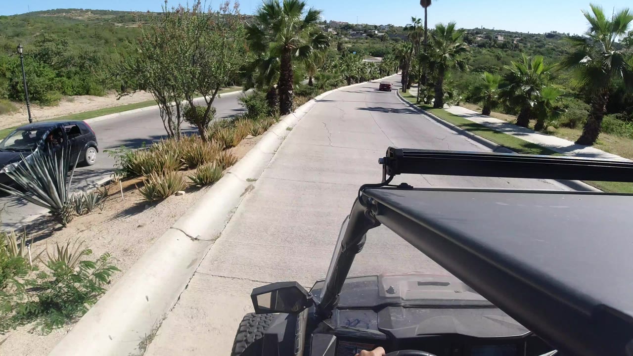 Forward-facing Los Cabos road frame with the open vehicle roof at bottom right, palms and agave-like plants along the curb, a dark SUV to the left, and no visible faces.