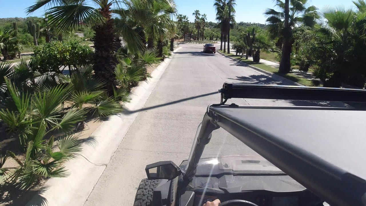 Forward view from an open vehicle on a palm-lined road.