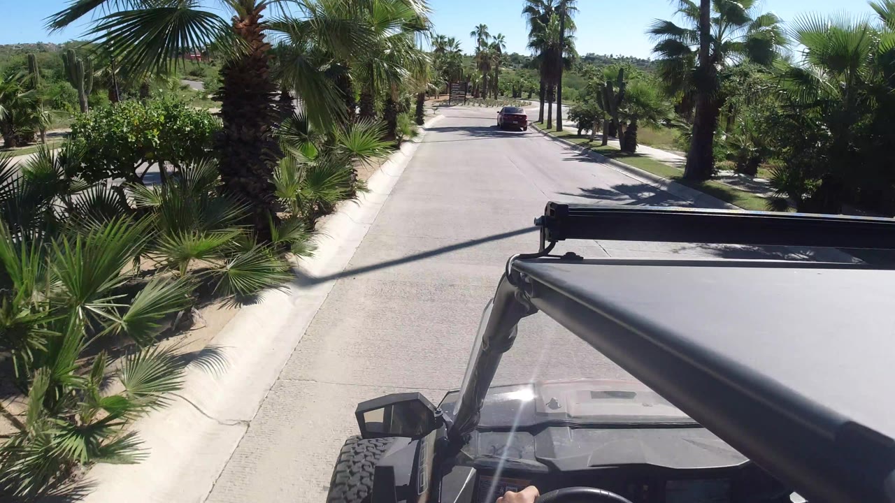 The Los Cabos road view continues with the open vehicle roof filling the lower frame, palms on both sides, and the red car farther up the lane.