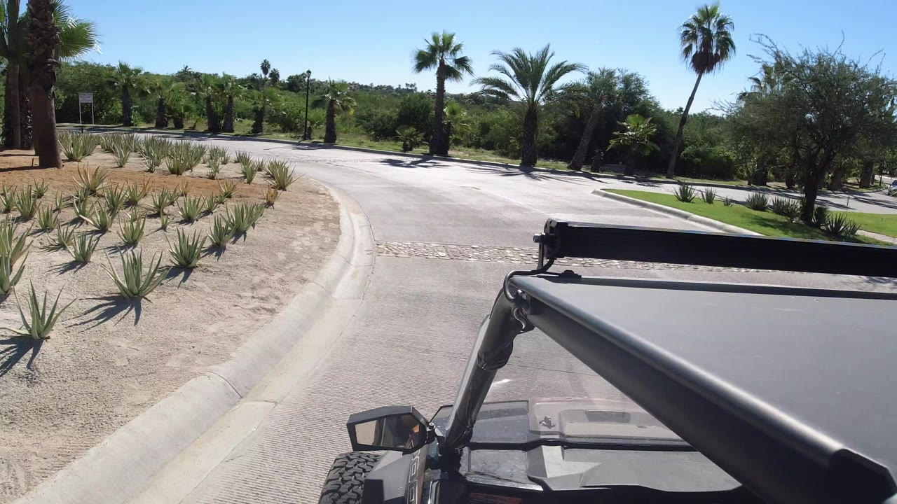 Open vehicle roof and mirror beside a curving road with palms and desert plants