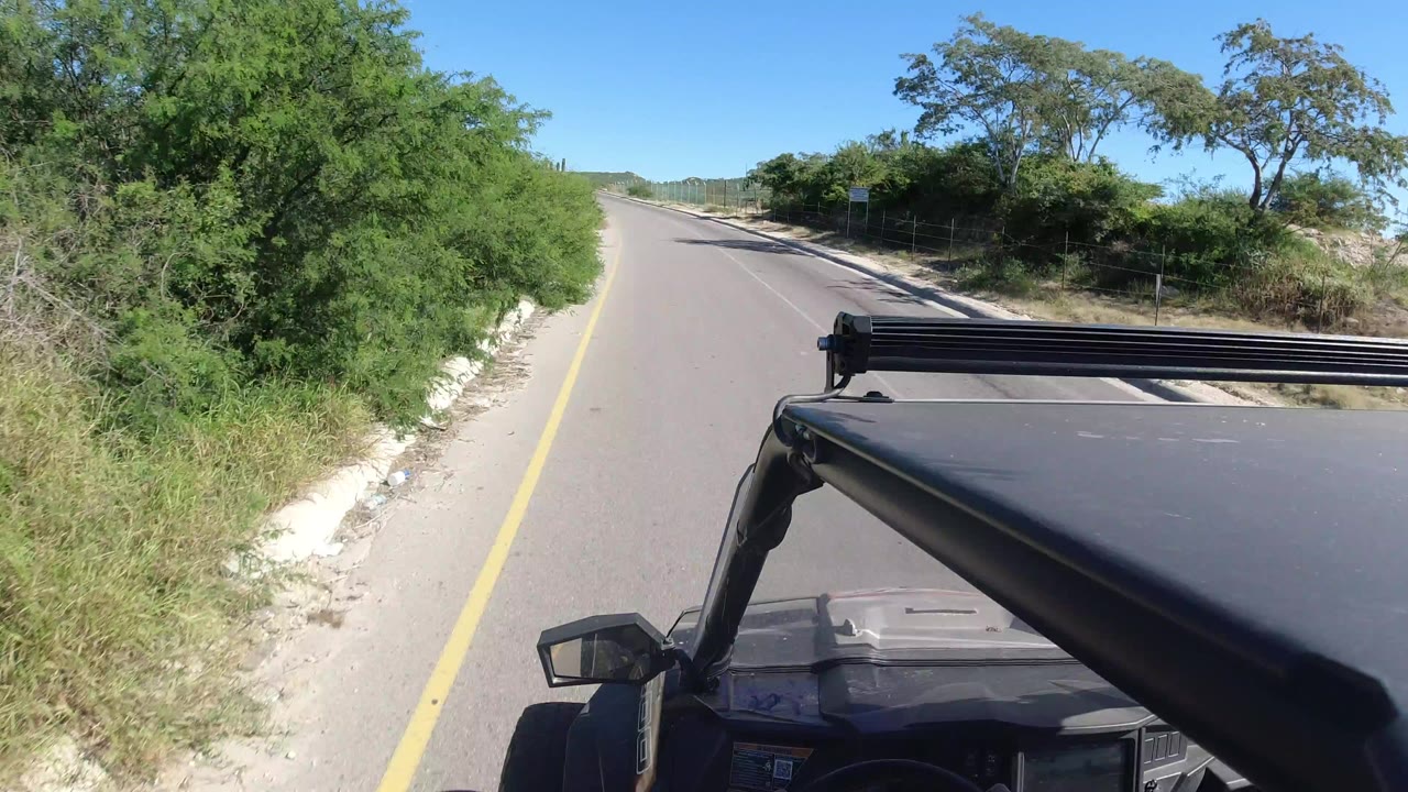 Open SUV view on a sunny road bordered by green brush