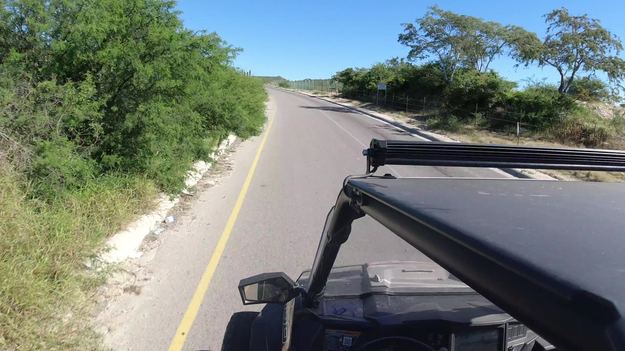 The SUV roof and side mirror remain in the foreground as the road runs ahead past dense roadside trees and a pale curb in Los Cabos, Mexico, with no visible people.