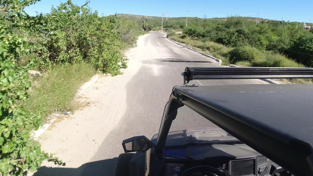 Mini SUV turns past dense roadside bushes onto a sandy-edged road.