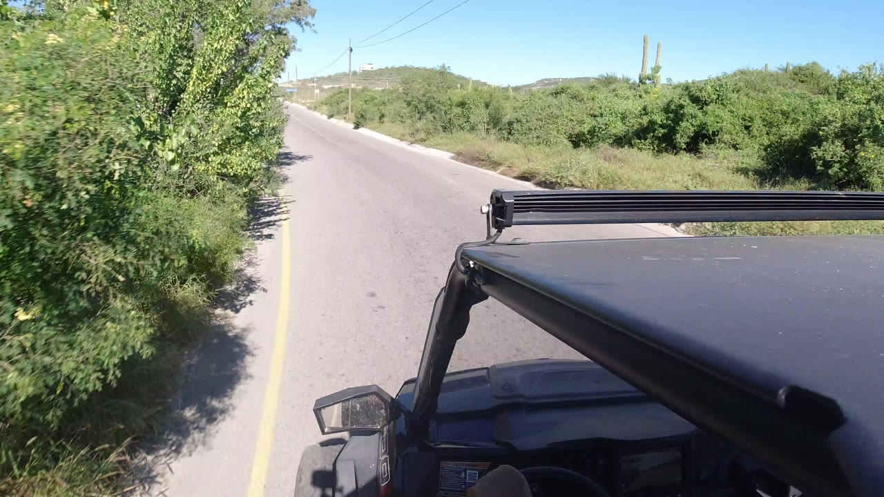 Los Cabos road view from a vehicle with the black roof and side mirror in the foreground, dense green trees on the left, low brush on the right, and no visible face.