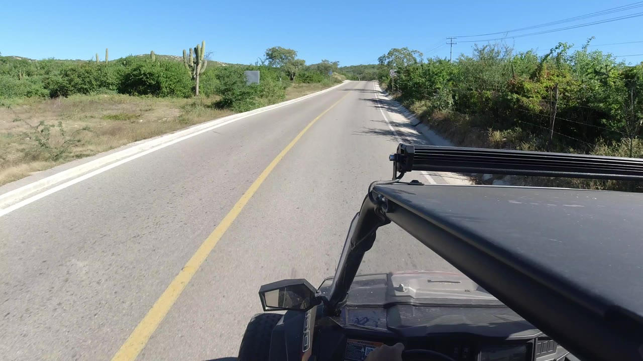 A forward road view in Los Cabos, Mexico shows the yellow center stripe running toward low hills, with roadside cactus and no visible people.