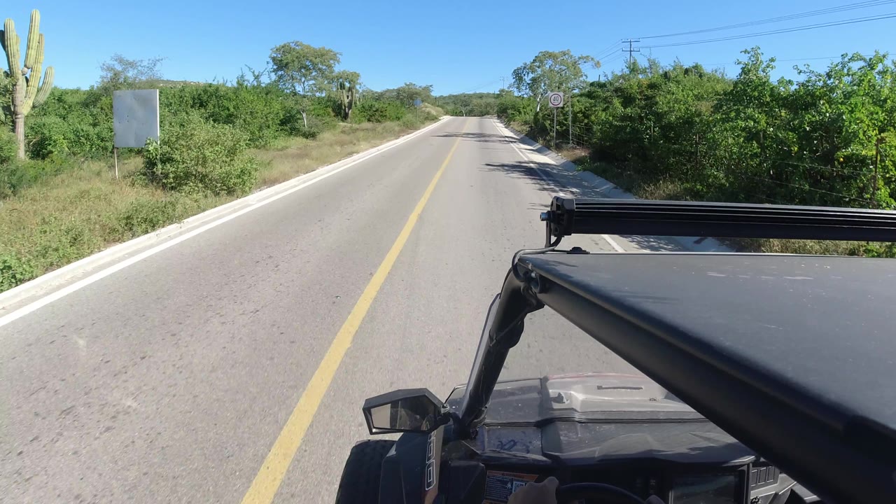 Quiet paved road with vehicle foreground and roadside greenery.