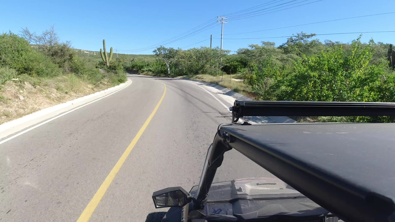 A Los Cabos road curves through dense green brush and cactus stands, with the black vehicle roof filling the lower right foreground and no visible people.