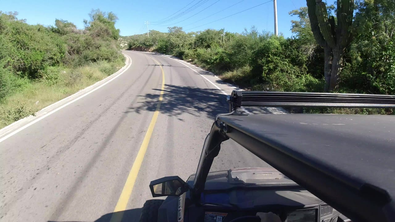 Two-lane road curving left with vehicle hood in foreground and trees beside the pavement.