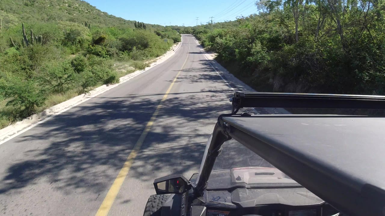 Road curves slightly past roadside trees, shadows, and a vehicle roll bar in the foreground.