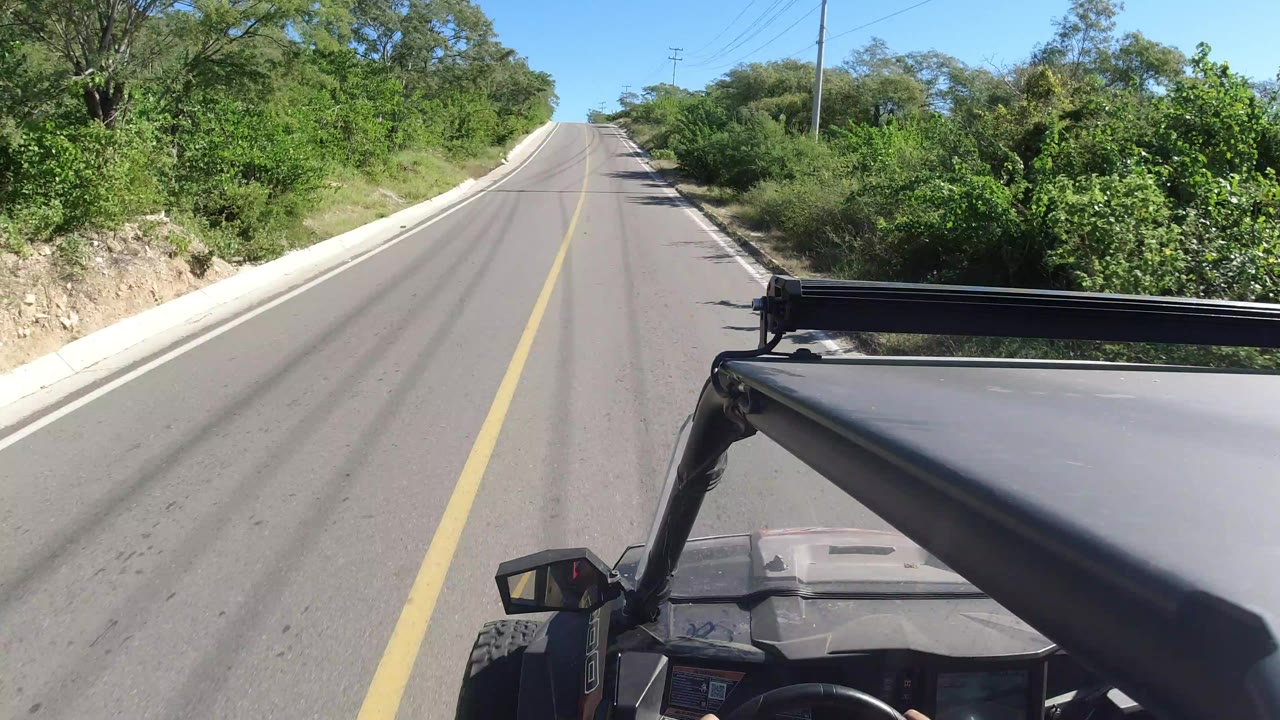 A later Los Cabos, Mexico road view shows the yellow line running up the frame, bright brush along the right shoulder, trees on the left, and no recognizable people visible.