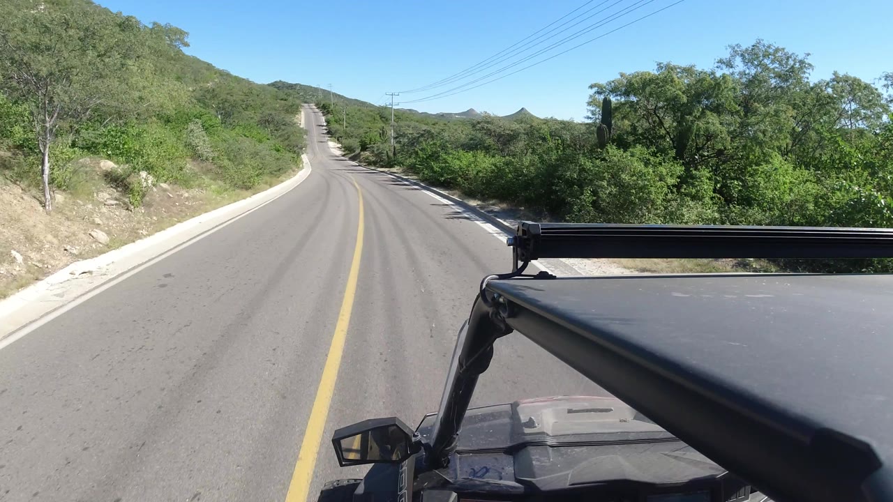 Straight uphill road bordered by dense green plants and cacti.