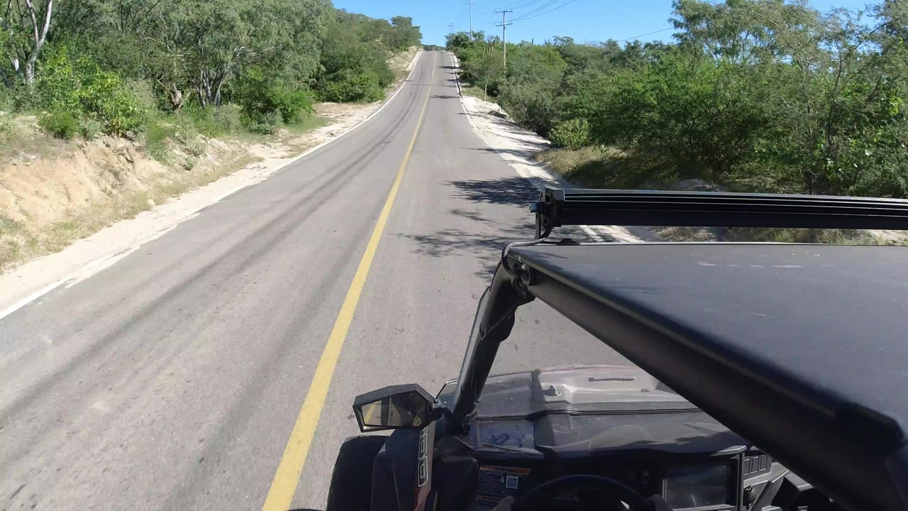 Forward view from a moving vehicle on a Los Cabos road, with a yellow center line, scrubby trees on both sides, blue sky, and no visible people.