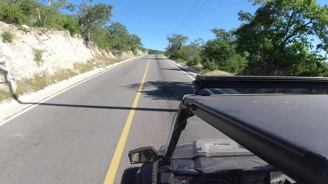 Sunny road curving slightly with vehicle hood and roadside shadows.