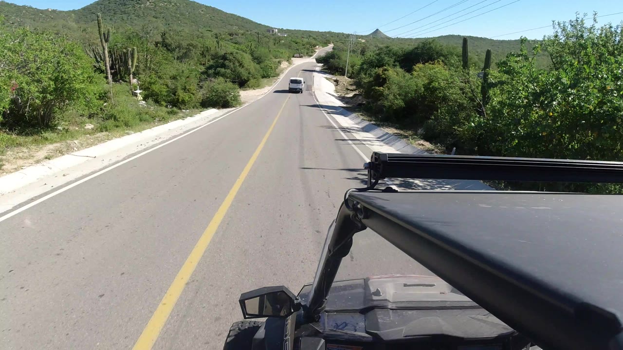 Los Cabos driving frame with the road rising toward low hills, dense green roadside vegetation, cactus columns, a distant car, and no visible people.