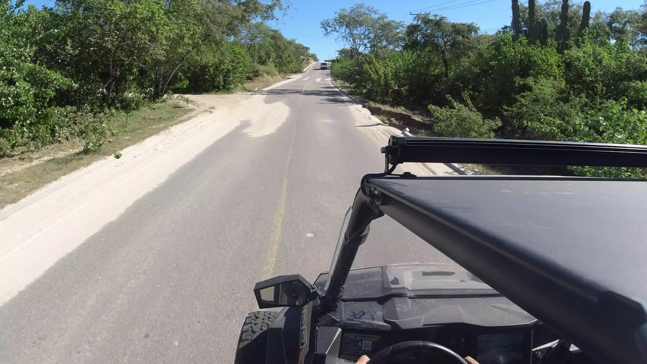 A forward-facing jeep view in Los Cabos, Mexico, shows the road stretching ahead between pale dirt shoulders, thick green roadside vegetation, scattered cacti, and no visible people.