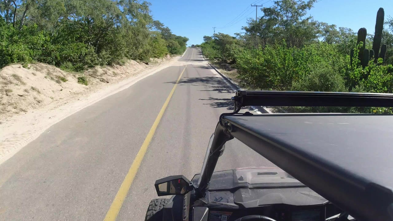 Forward view down a tree-lined two-lane road in Los Cabos, Mexico, with a yellow centerline, sandy shoulder, cactus at right, vehicle roof hardware in the foreground, and no visible faces.