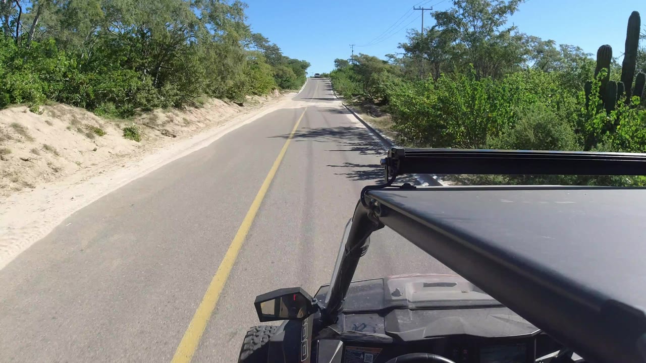 The road remains centered in Los Cabos, Mexico, with dense green trees on both sides, sand along the left shoulder, a cactus cluster on the right, and the vehicle roll bar cutting across the lower frame.