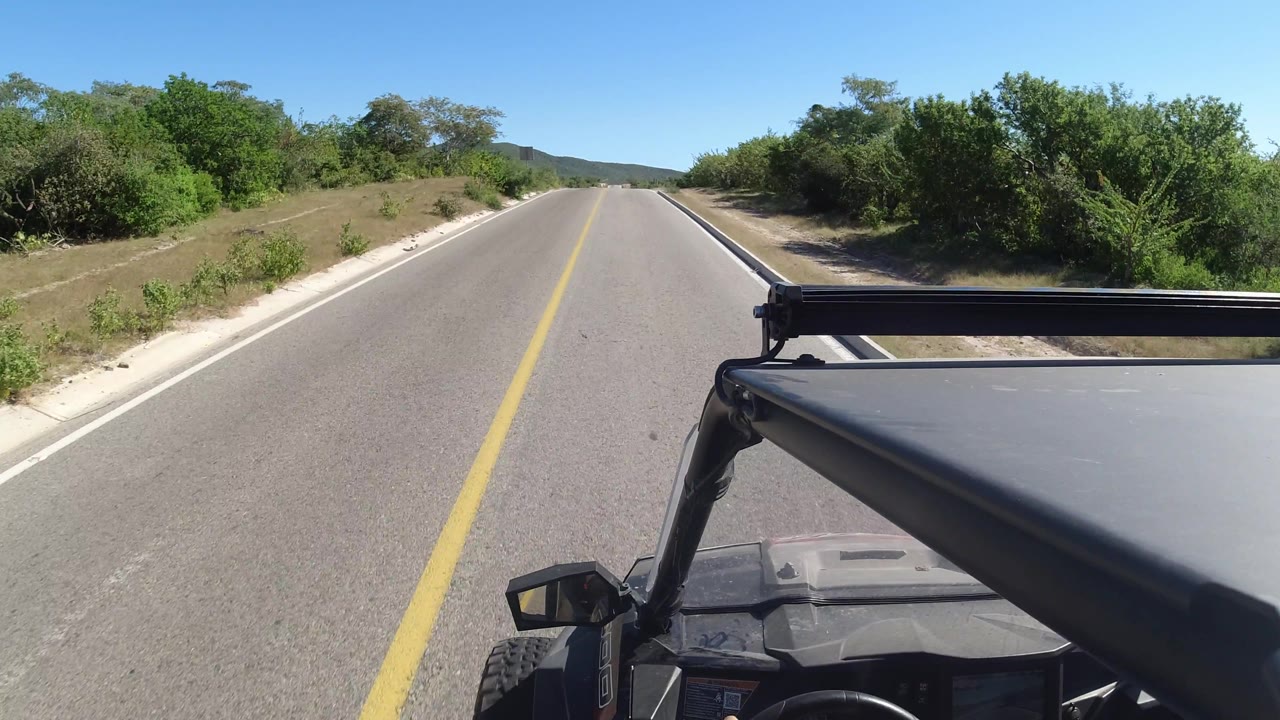 Vehicle POV on an empty rural road with shrubs close to the right shoulder.
