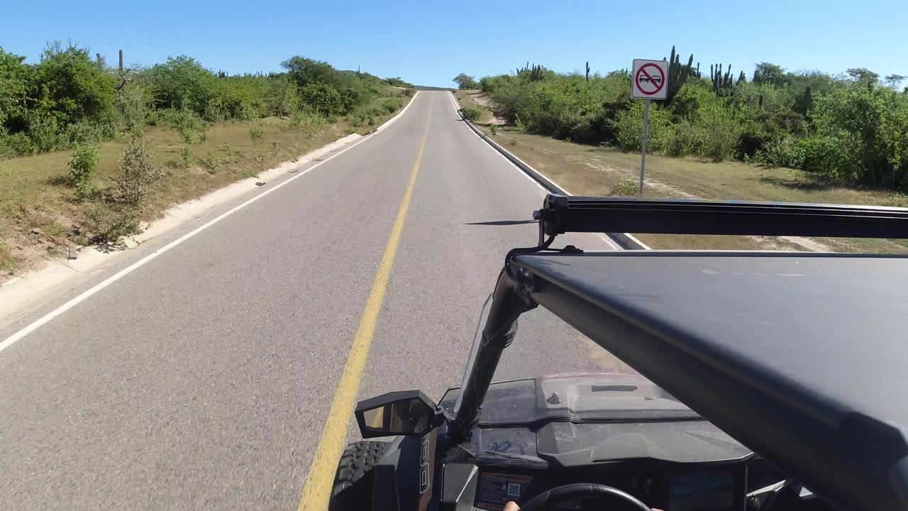 Empty road with roadside sign and cactus under clear sky