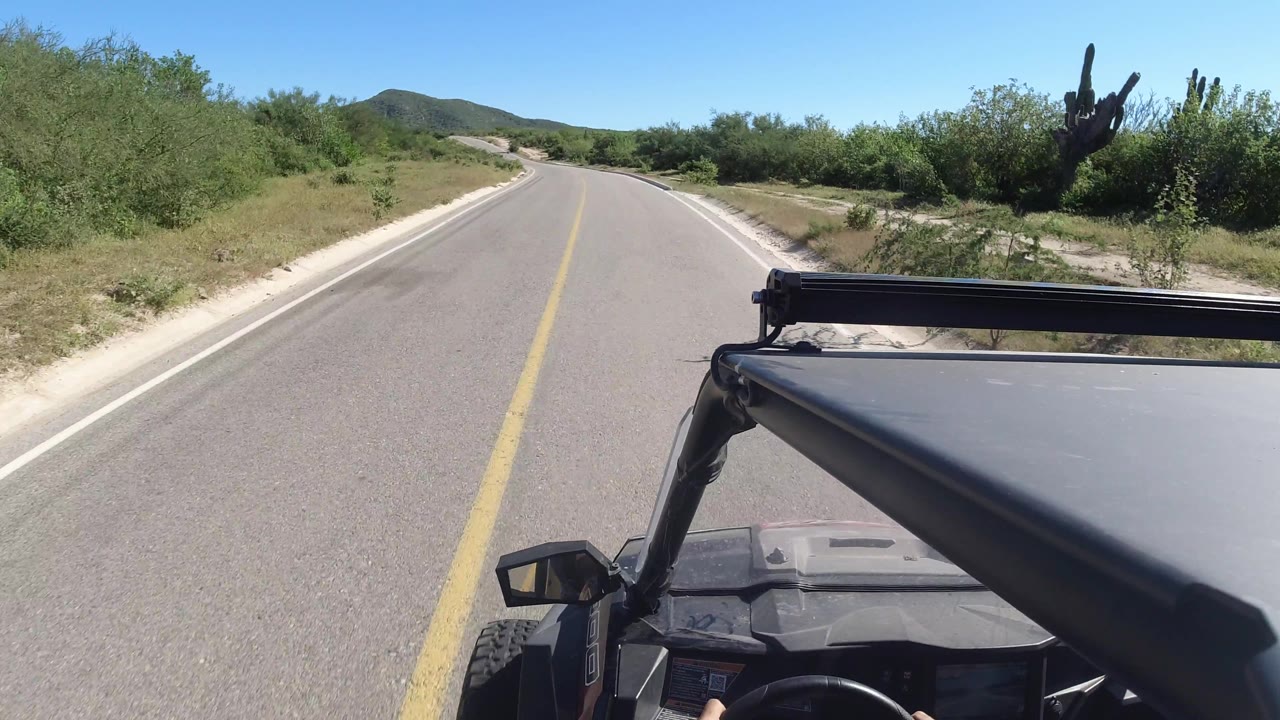 A Los Cabos road bends gently right, with cactus and dense green brush along the shoulder, low hills ahead, vehicle hardware in the foreground, and no visible faces.