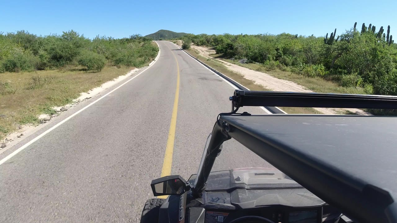 The road runs ahead through Los Cabos scrub with tall cactus visible on the right edge, the SUV roof bar in the foreground, and no visible people or other vehicles.