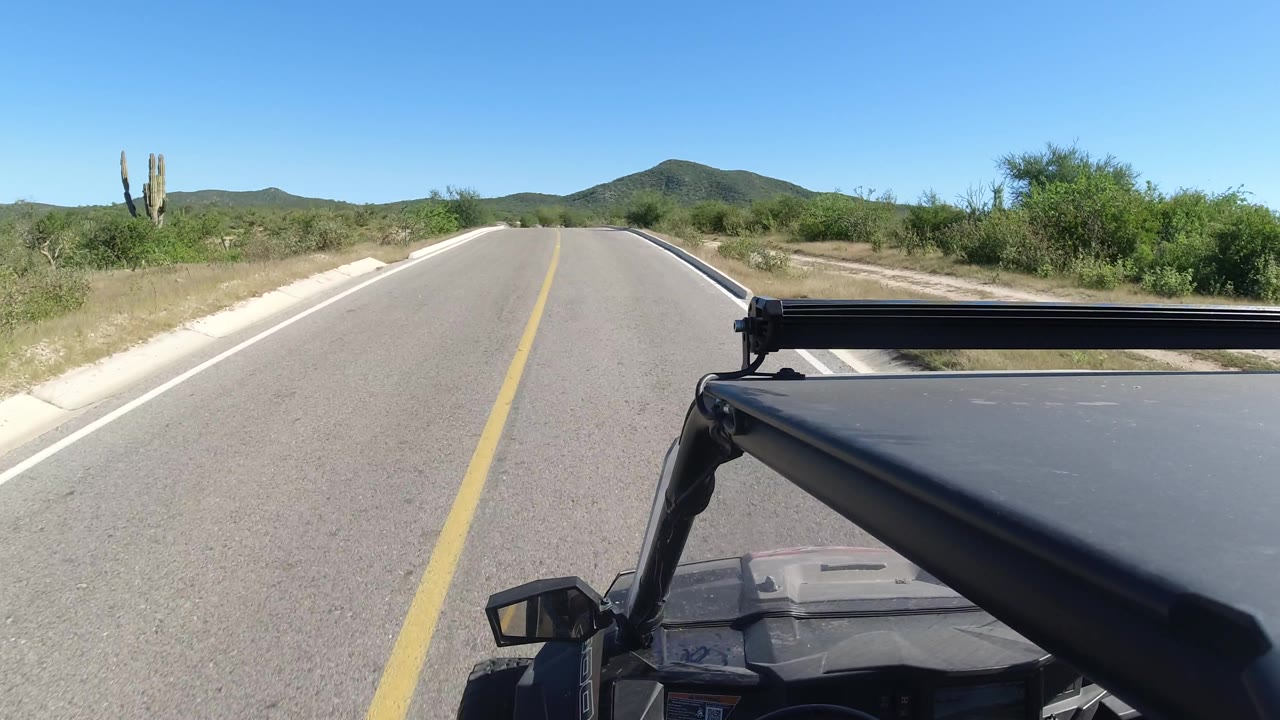Road rising gently toward hills with cacti and scrub visible along the roadside.
