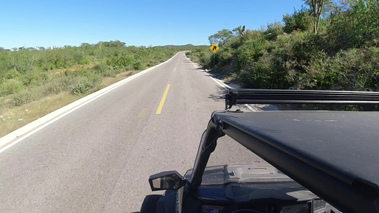 Road curves gently ahead past brush and a yellow curve sign.