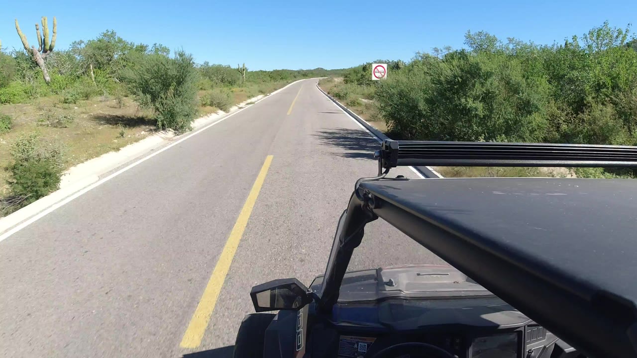 Forward view from a vehicle on a paved road with desert vegetation and blue sky.