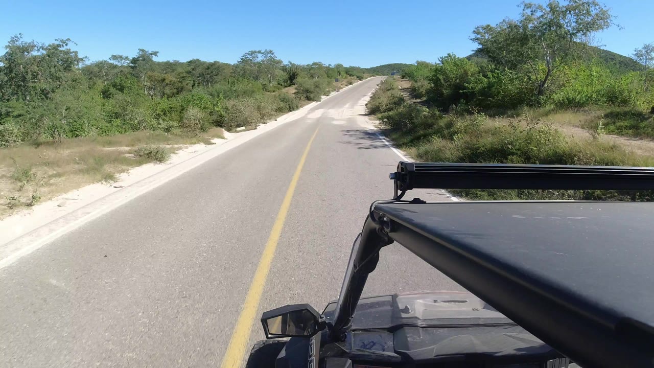 Start of a Los Cabos road drive with a yellow center line, green brush on both sides, blue sky overhead, and no visible people.