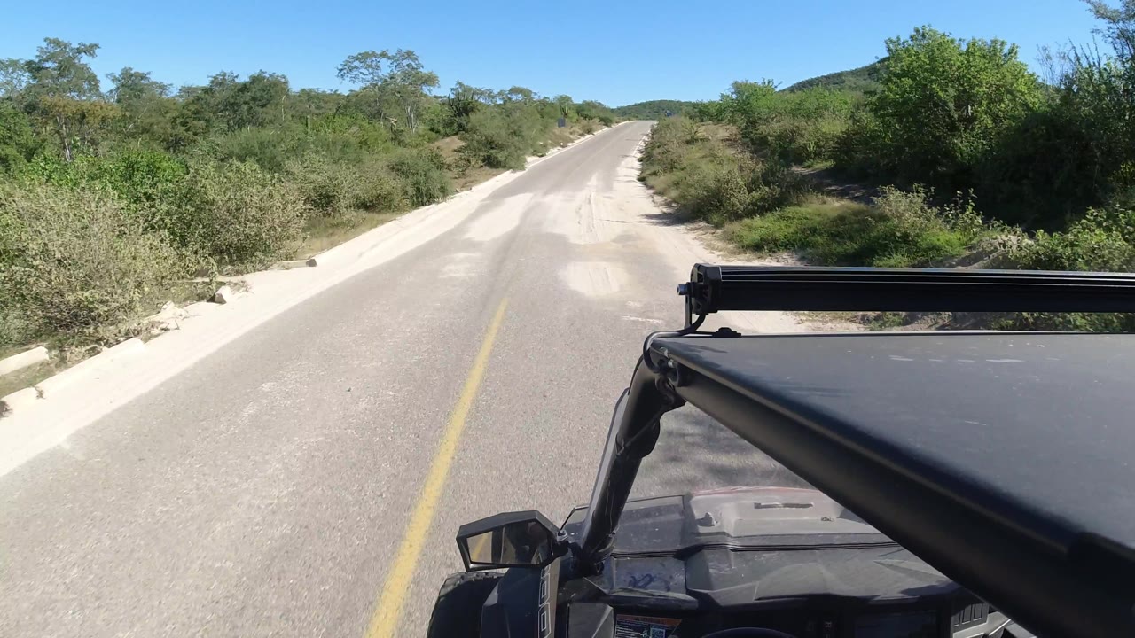 Road shoulder and brush beside vehicle hood
