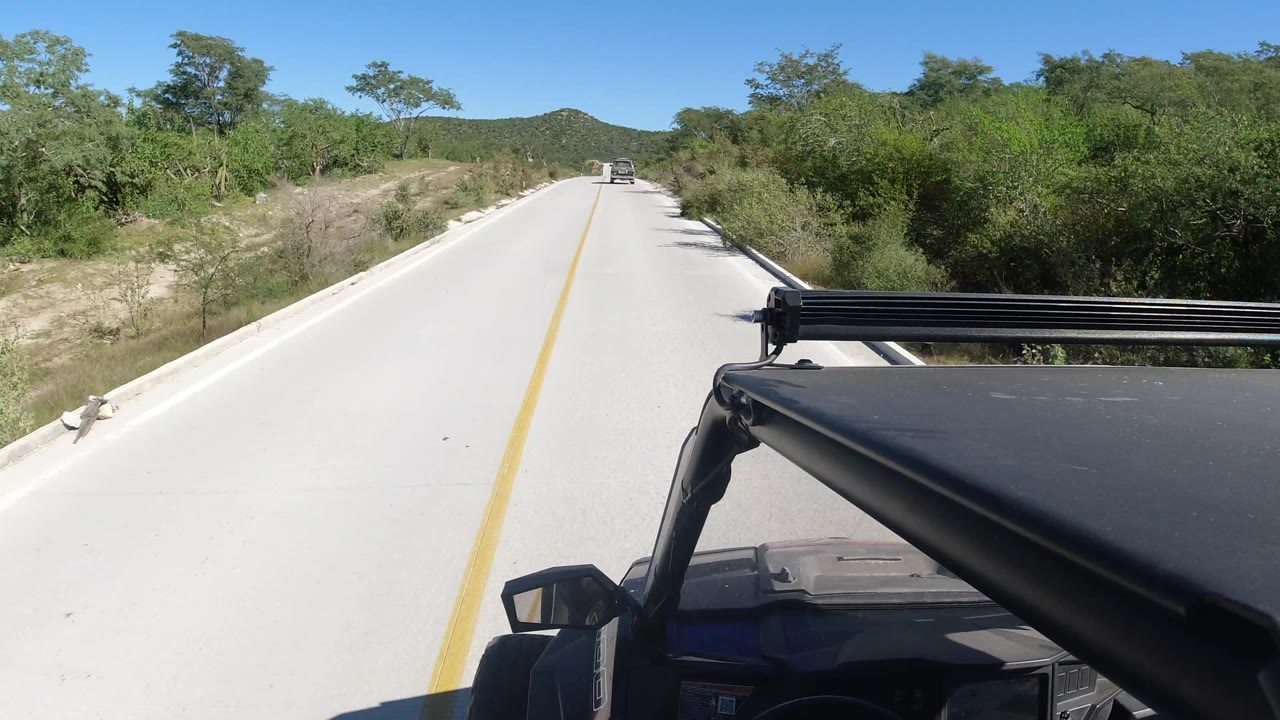 Bright paved road curving slightly through roadside brush