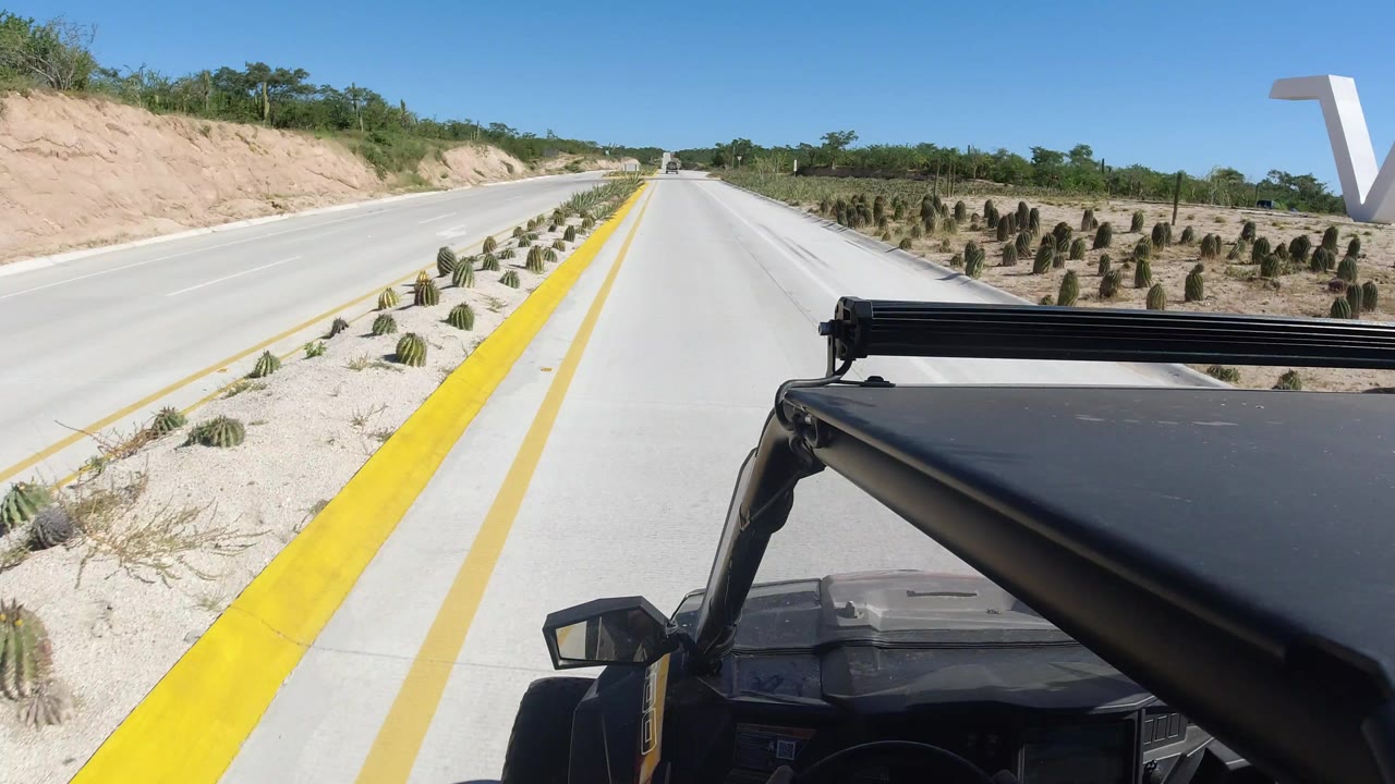 A straight Los Cabos road extends ahead from a jeep roof viewpoint, with rows of small cacti beside the yellow curb and no visible people.