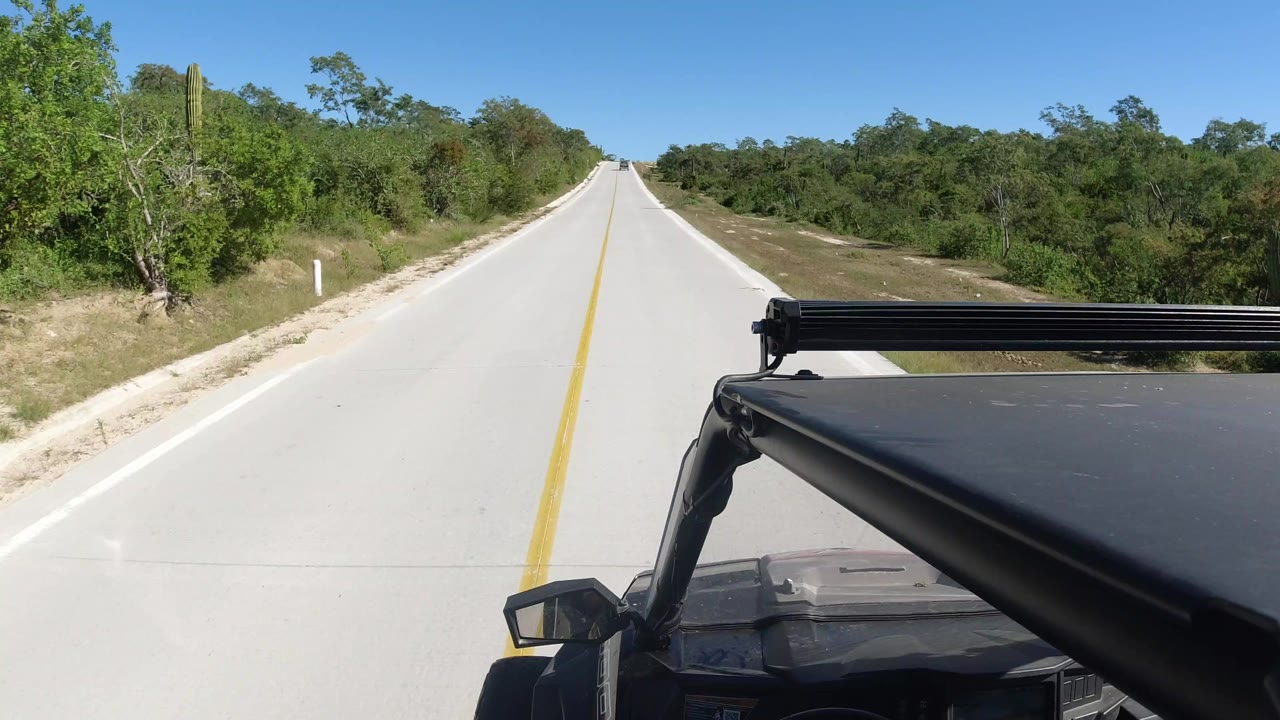 A jeep-mounted view continues along the pale roadway in Los Cabos, Mexico, with dense green trees on both sides and no visible people.