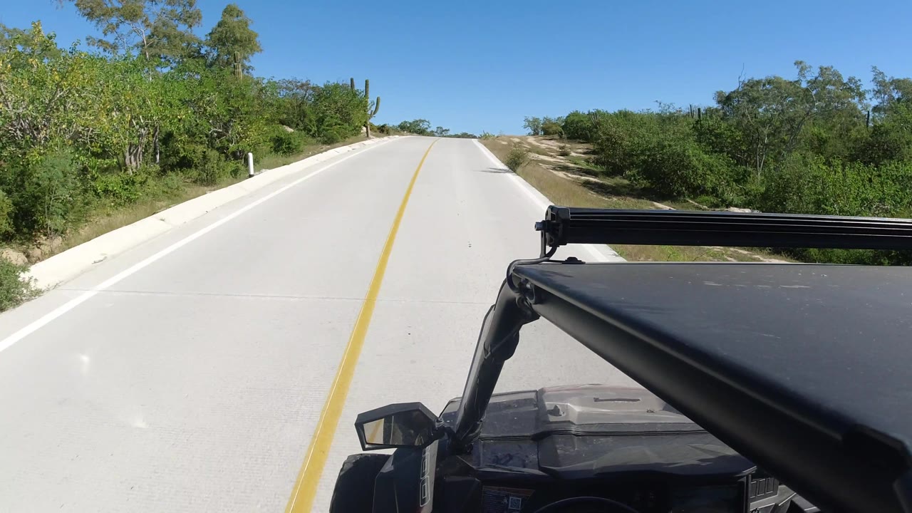 Sunlit road with dense vegetation and vehicle hardware at right.