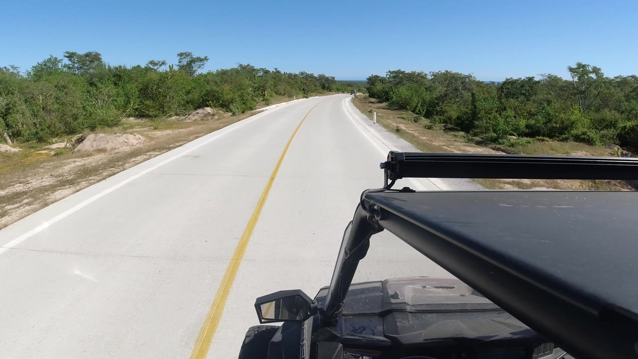 Empty road curving gently through roadside vegetation