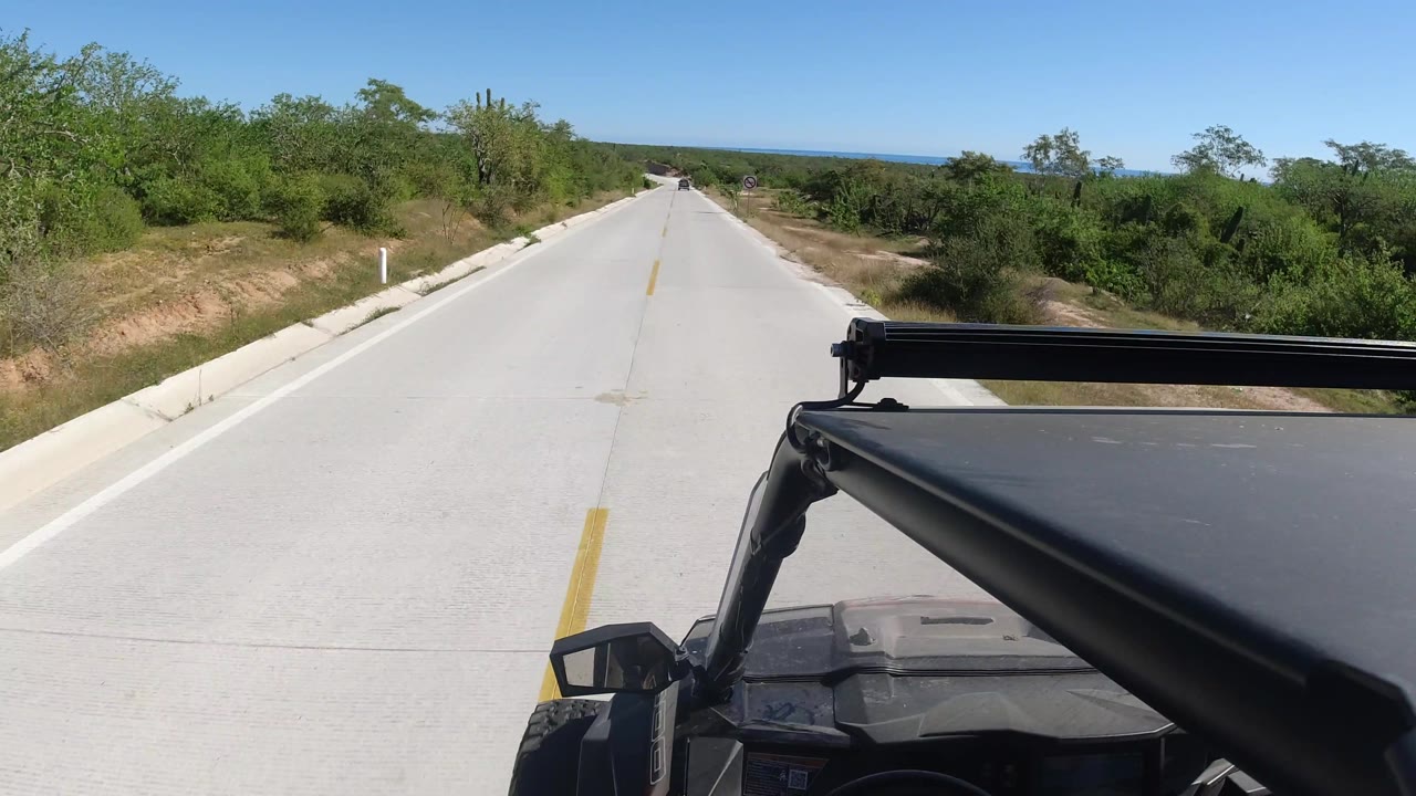 Empty concrete road curves slightly through dense roadside vegetation.