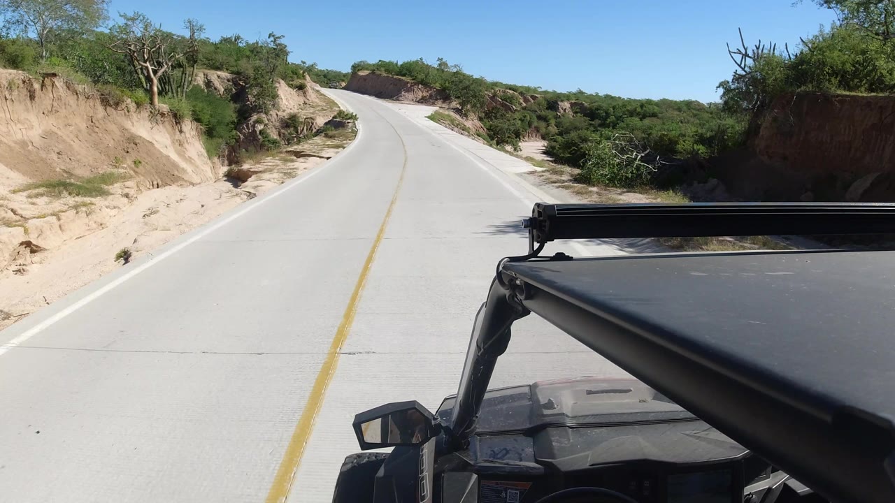 Empty paved road rising between desert vegetation and sandy roadside cuts.