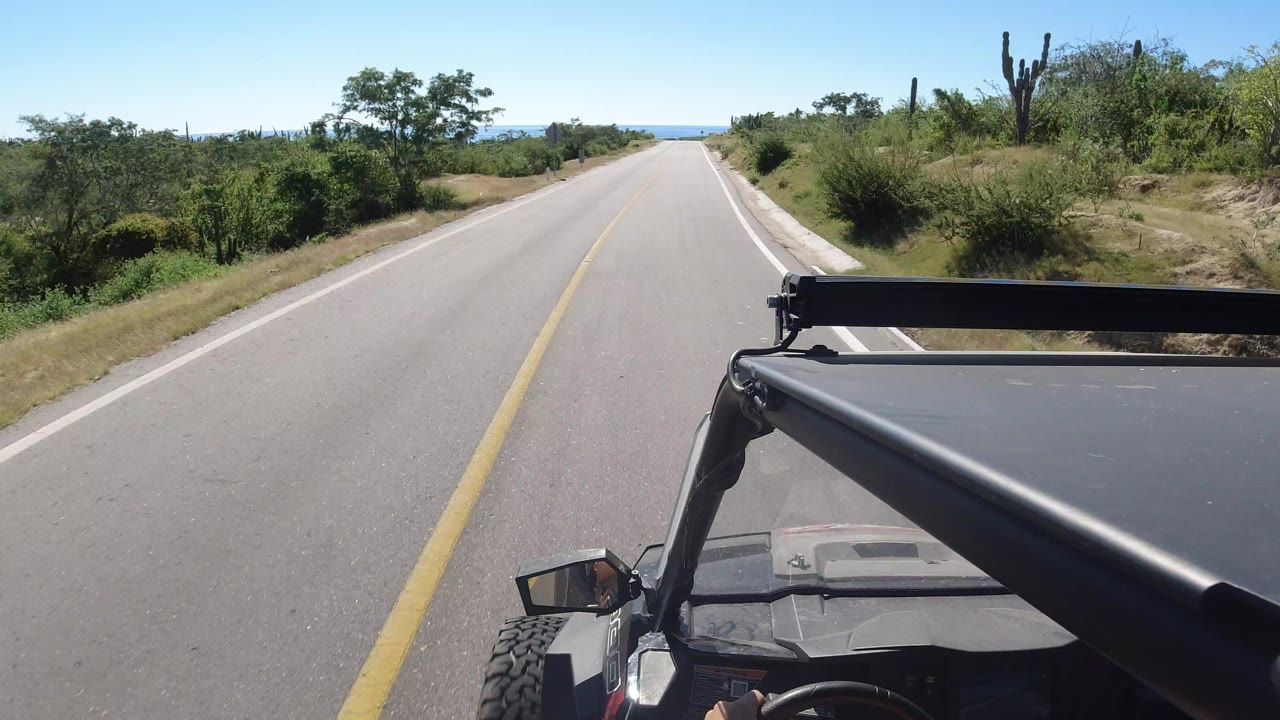 Vehicle driving on a paved road through dry roadside vegetation