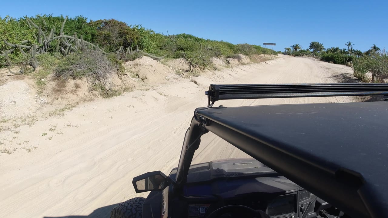 Buggy turning near cactus and scrub on sand dunes.