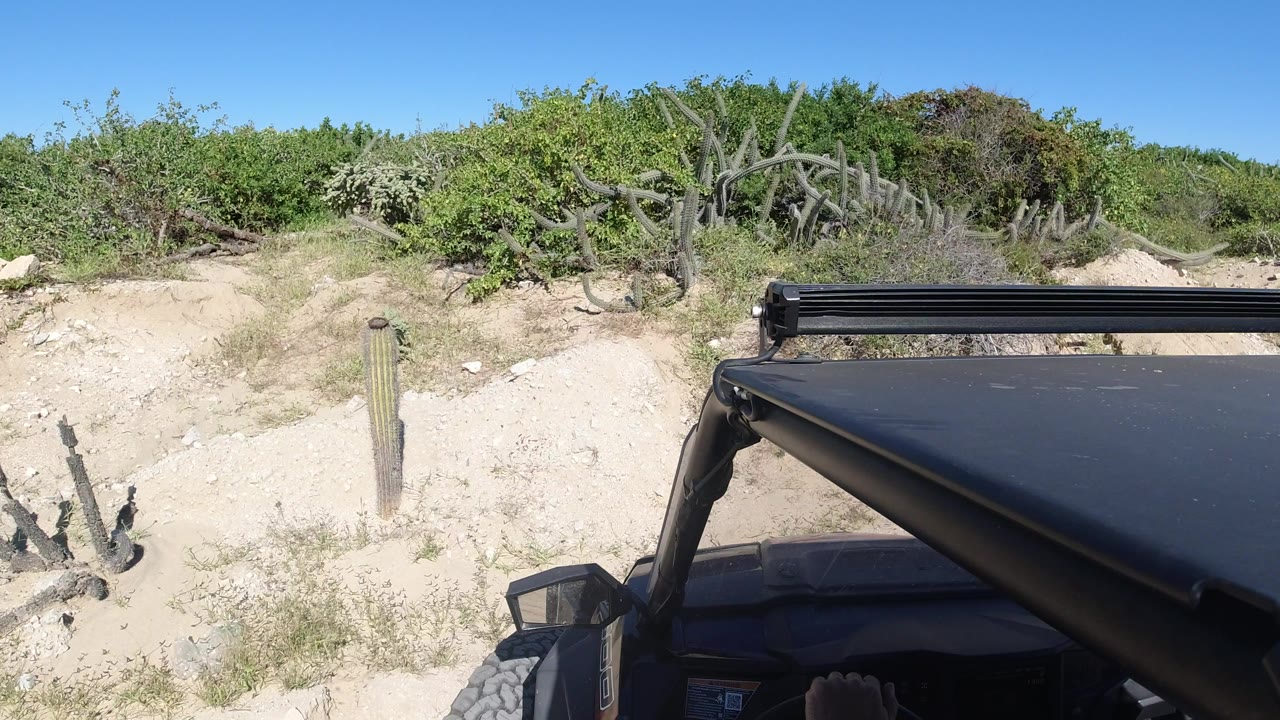 Opening frame from Los Cabos, Mexico showing the black vehicle roof and side mirror at the lower edge, sandy roadside, green brush, cactus-like plants, and no recognizable people.