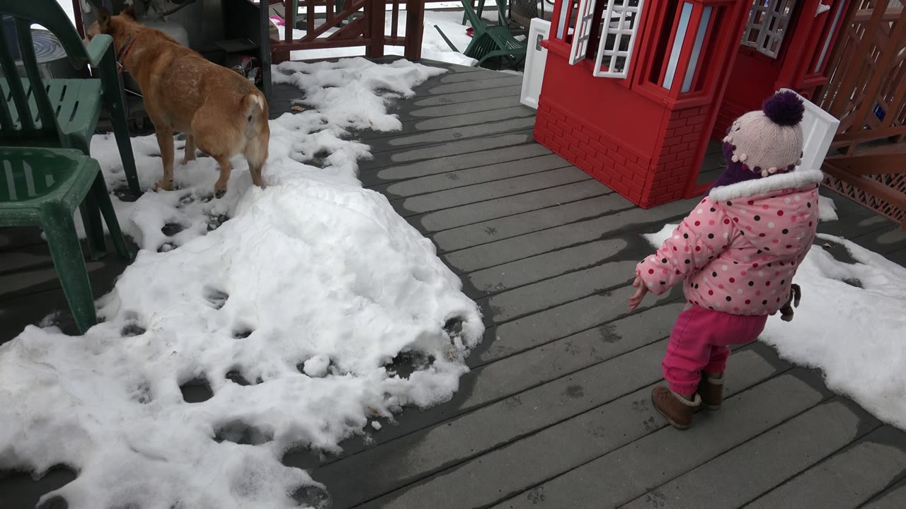 A small child in pink winter clothing stands near a tan dog on a patchy snowy deck in Westminster, Colorado, with green chairs and a red playhouse nearby.