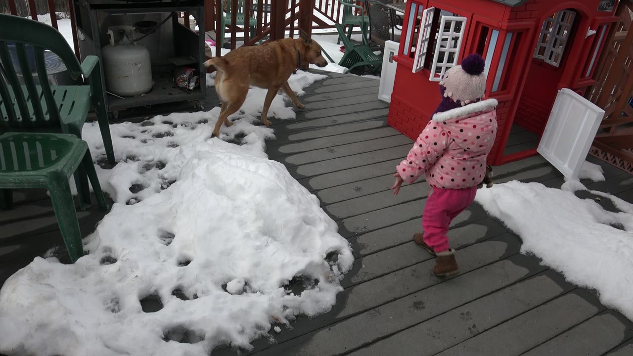 The tan dog walks along the snowy deck while the child in a pink coat faces the red playhouse and green patio chairs in Westminster, Colorado.