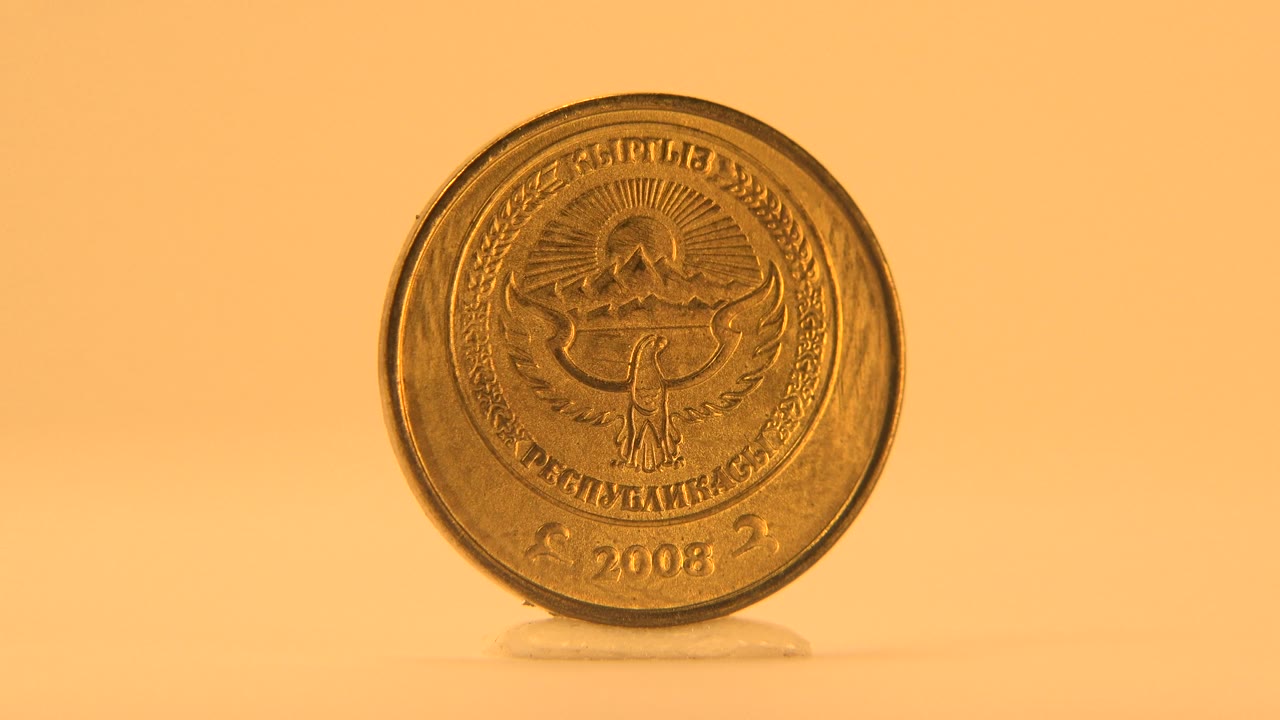 The coin faces the camera more directly, showing a crest-like emblem and a 2008 date on its gold-toned surface against the plain warm background, with no visible people.