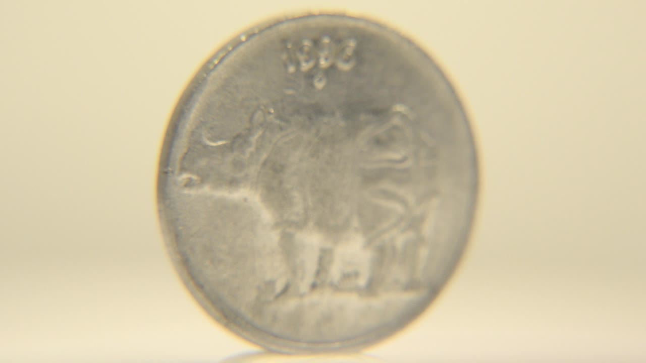 A silver coin from India stands upright with an animal design facing camera, softly lit against a warm pale background with no visible people.