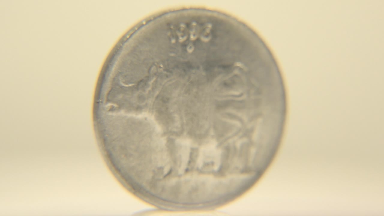The Indian coin remains nearly front-facing, with the animal relief and upper date area visible through soft focus and warm light, and no visible people.