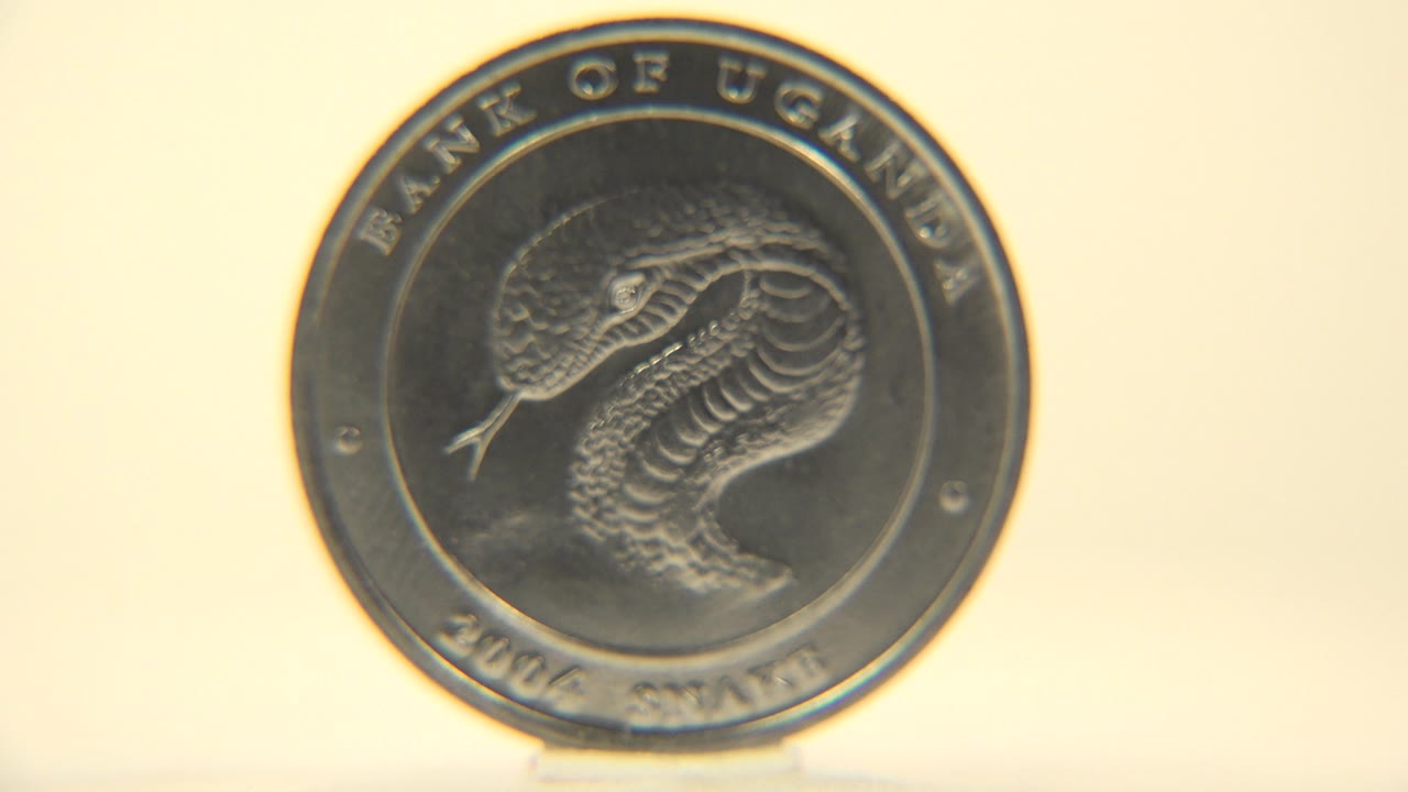 The coin remains nearly face-on as the snake engraving and circular Bank of Uganda lettering catch soft highlights, no visible people.