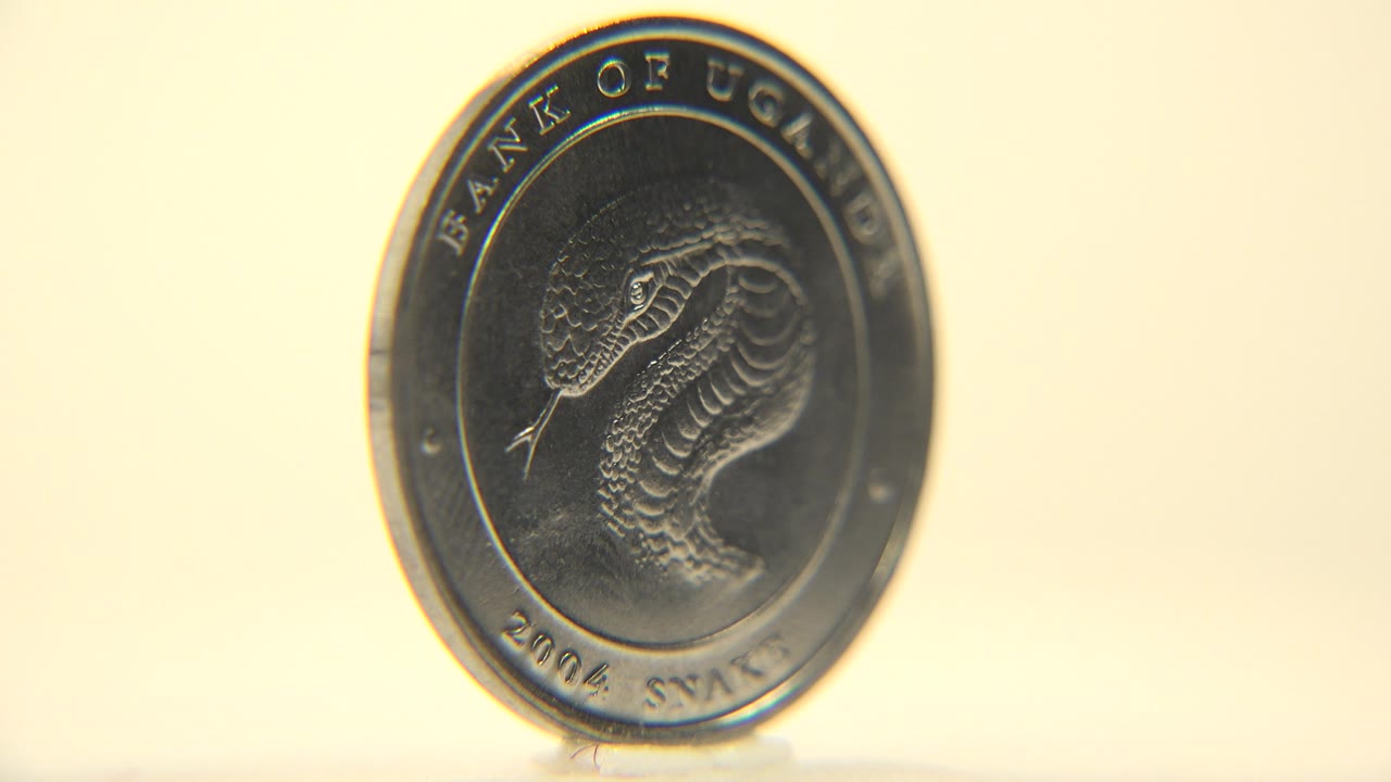 The spinning coin tilts into a slight angle while the snake side remains visible and the metal rim brightens, no visible people.